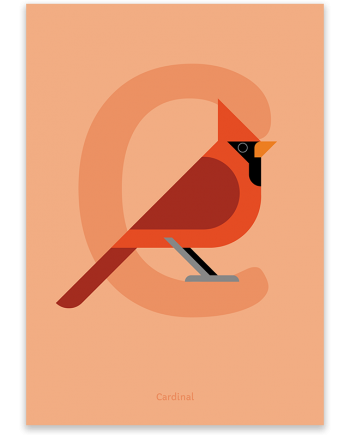 Cardinal bird poster