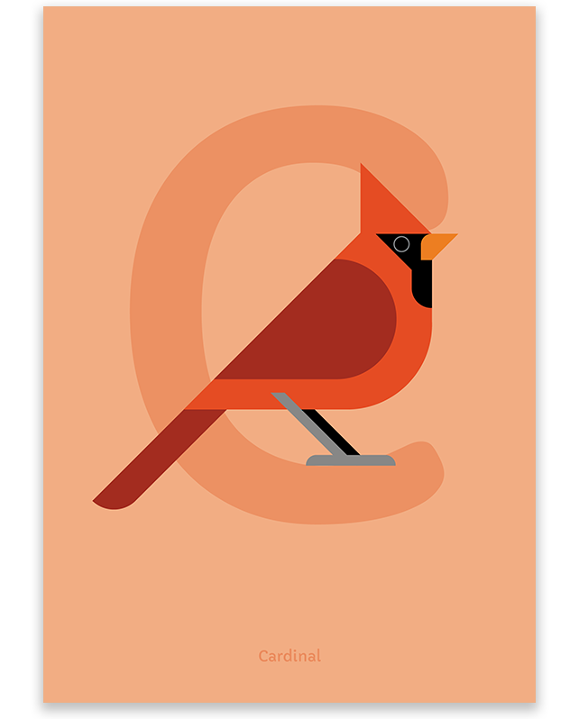 RED CARDINAL Glossy 8x10 Photo Nature Print United States Poster Bird Wildlife 