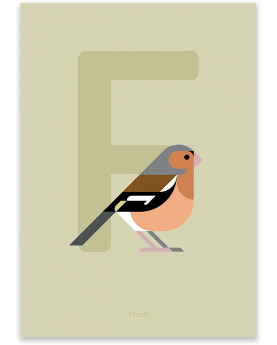 Finch bird poster