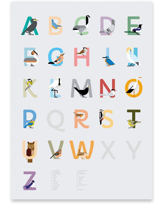 Nederlands Vogel alfabet print