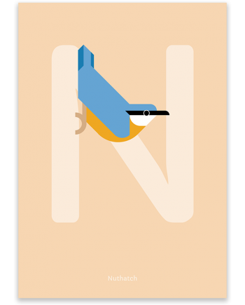 Nuthatch poster