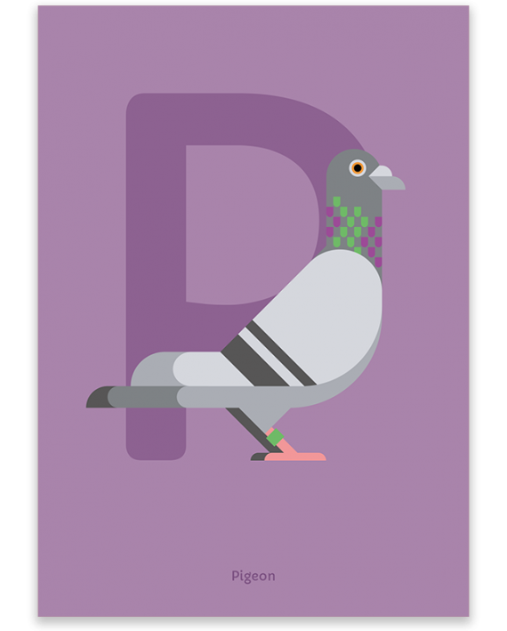 Pigeon poster