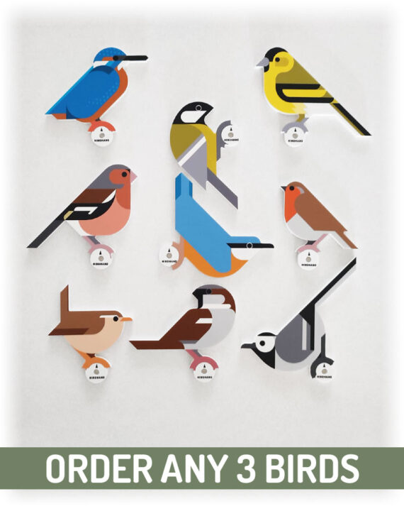 2024 hinghang bird wall hooks