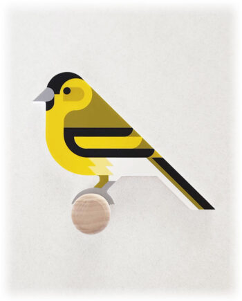 2025 hinghang siskin wall hooks