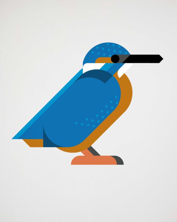 kingfisher wall sticker