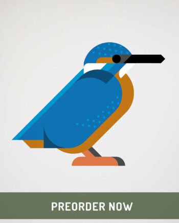 kingfisher wall decal preorder