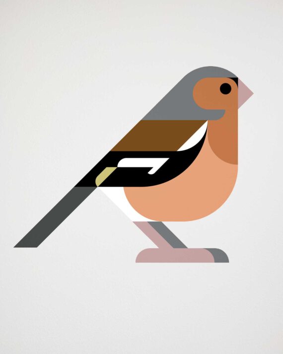 Finch wall decal