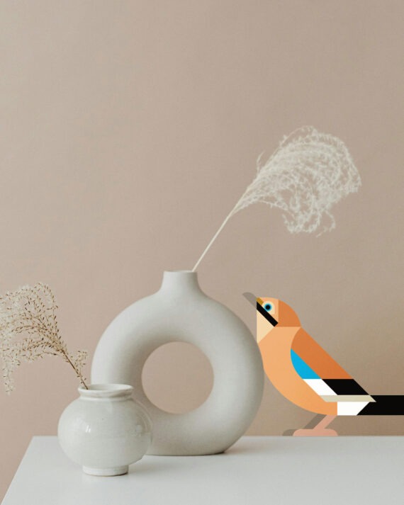 Jay wall decal