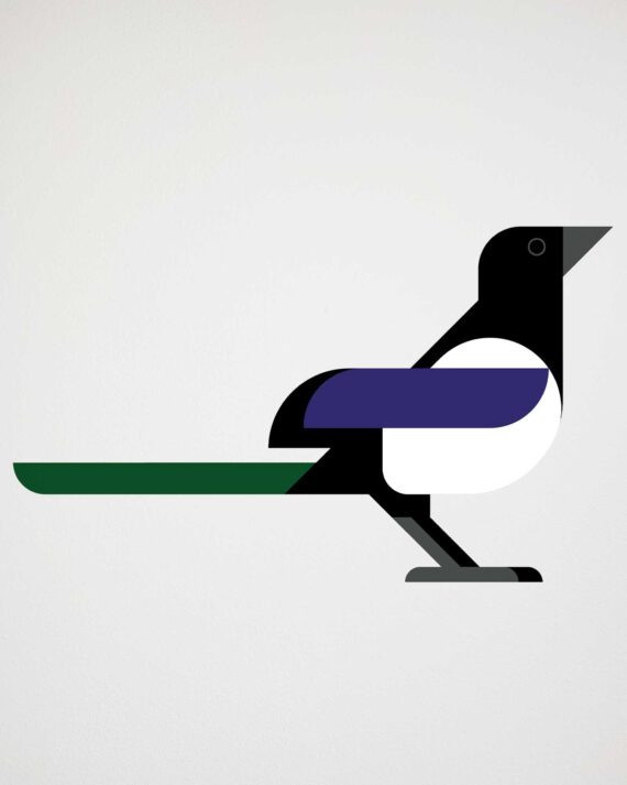 Magpie wall decal