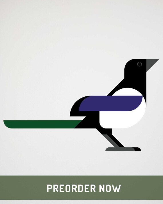magpie wall sticker preorder