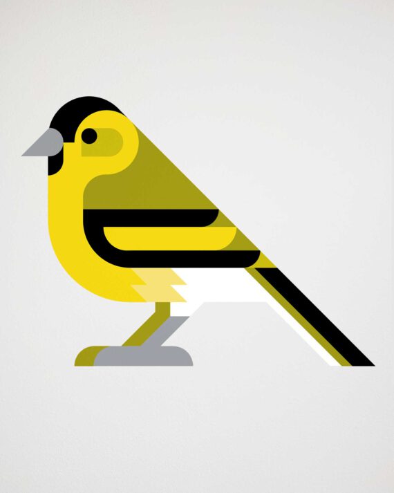 siskin wall decor hinghang