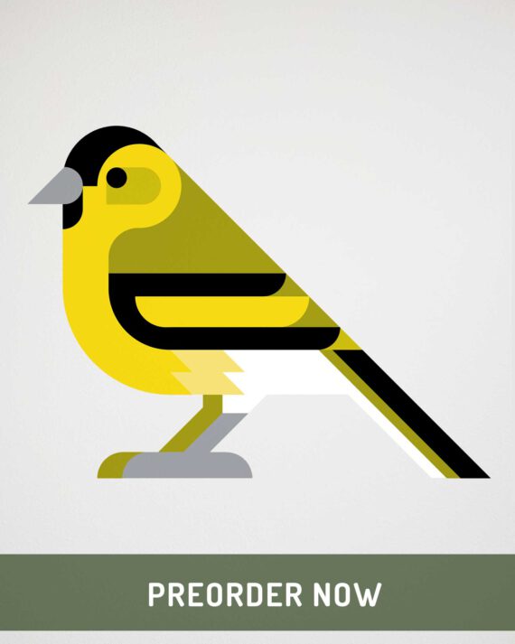 siskin wall sticker preorder