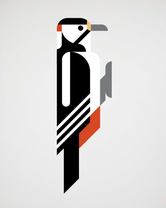 Woodpecker wall decal