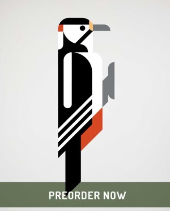 woodpecker wall decal preorder