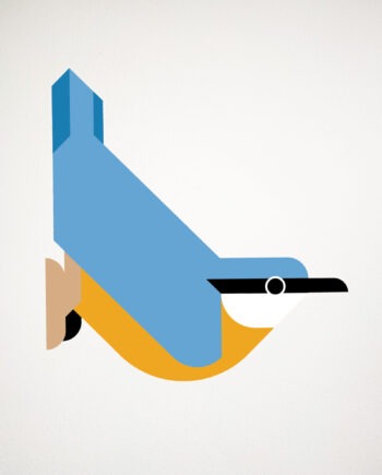 nuthatch hinghang wall decal