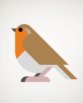 robin replaceable wall decal