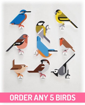 hinghang order 5 bird wall hooks